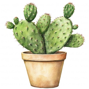 12 cactus en pot Clipart aquarelle cactus du désert plante succulente imprimable haute qualité PNG en téléchargement numérique Junk Journal Scrapbooking Craft
