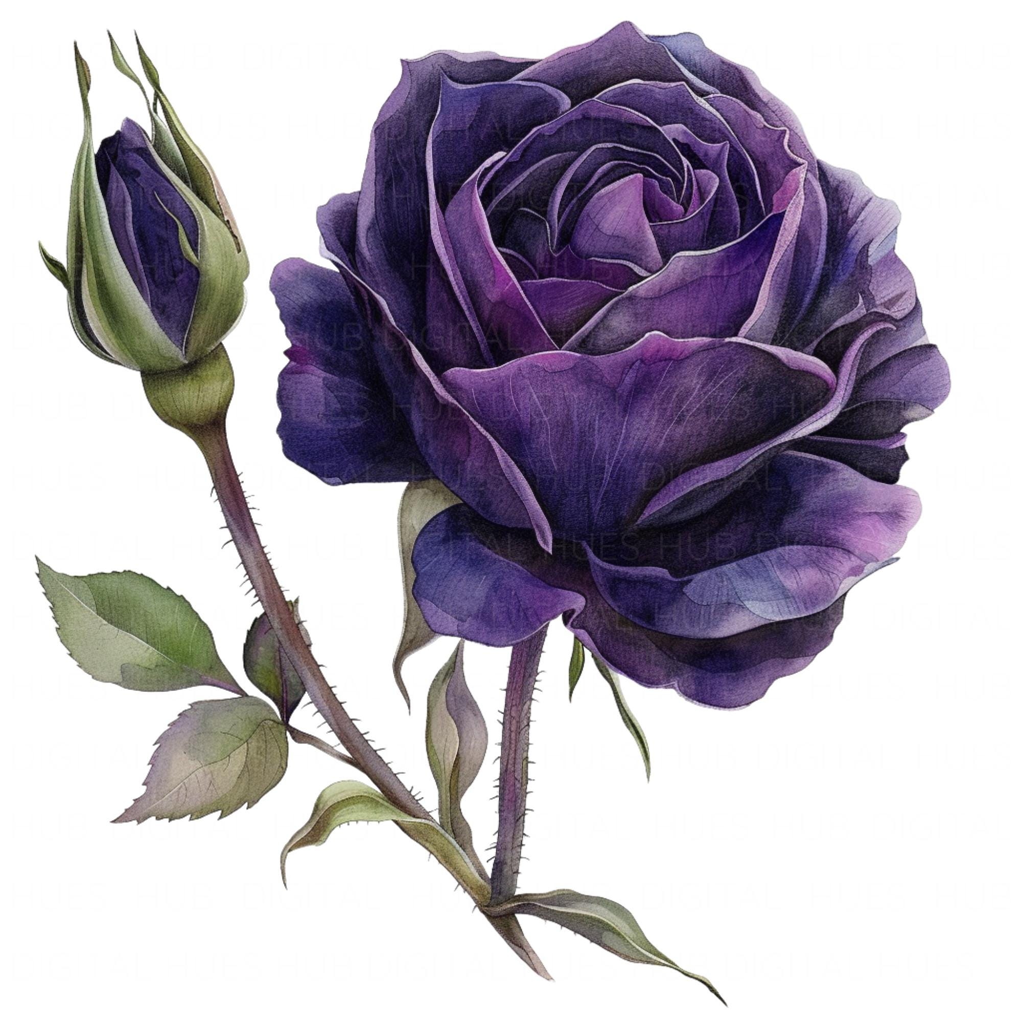 バラの絵 薔薇 | Ai_Koyamatsu ｜インテリア絵画 アートの専門通販