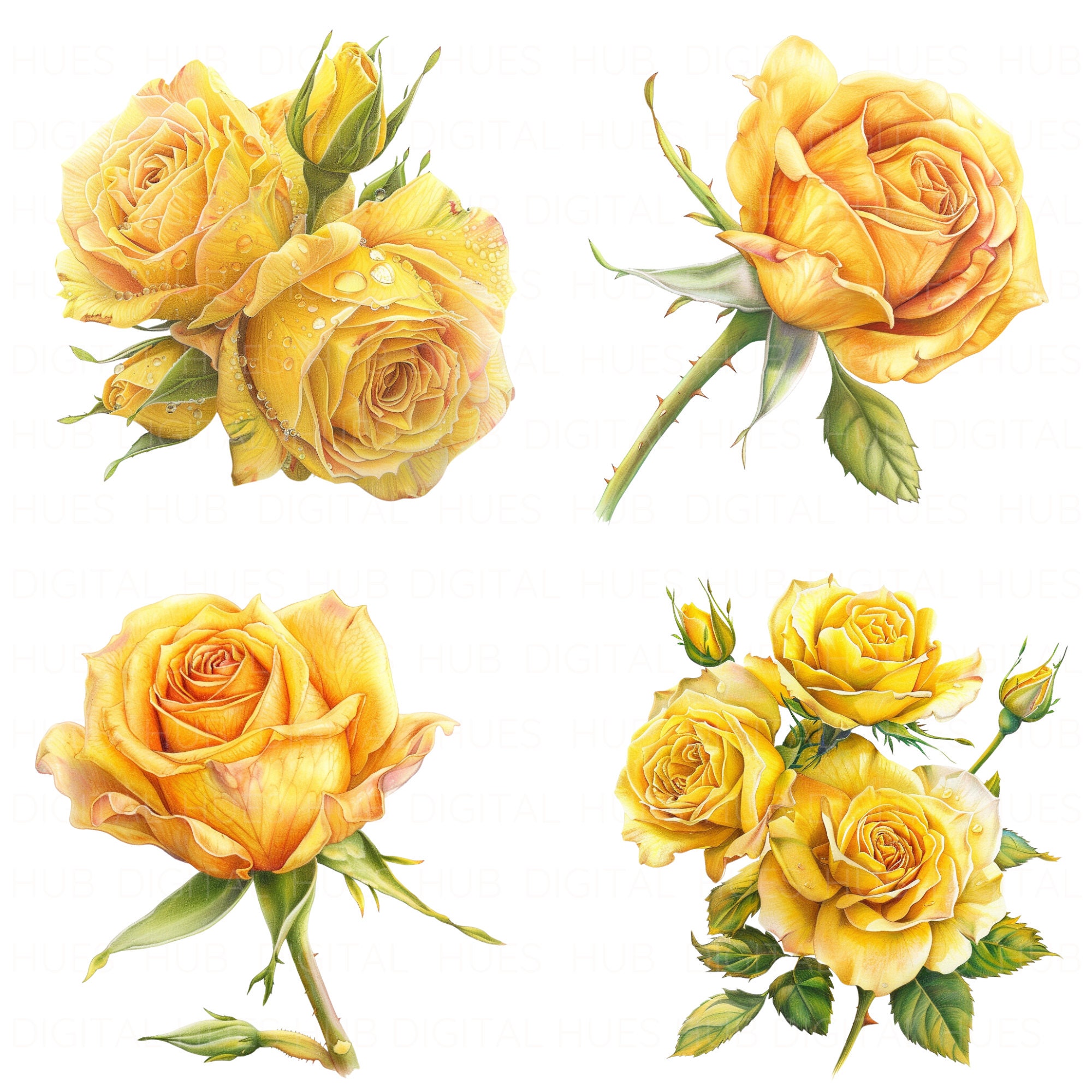 Yellow Roses To Print 14 Yellow Rose Clipart Watercolor Yellow Flower Golden Rose High ...