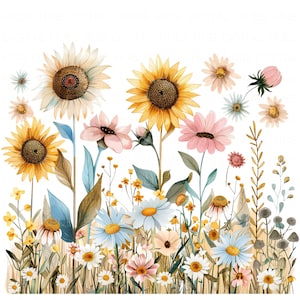 10 Girassol Margarida Prado Clipart Pacote Aquarela Girassol Arte Imprimível JPEG de Alta Qualidade Para Diário de Lixo Papel Artesanato Scrapbook Cartão