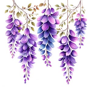10 Wisteria Strand In Row Clipart Watercolor Purple Flower Art Printable High Quality JPG For Junk Journal Paper Craft Scrapbook Card Making