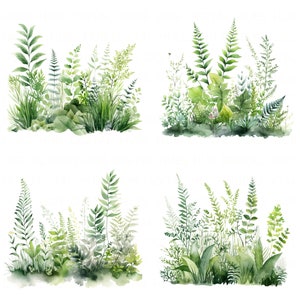 Lot de 14 cliparts d'herbe sauvage, aquarelle d'herbes vertes fraîches, clipart JPEG de haute qualité imprimables pour scrapbooking Journal indésirable en papier artisanat en papier DIY