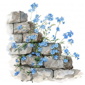 Paquete de 14 imágenes prediseñadas de No me olvides en la pared de piedra, imágenes prediseñadas de flores imprimibles, JPEG de alta calidad para álbumes de recortes, diarios basura, manualidades de papel, pared floral