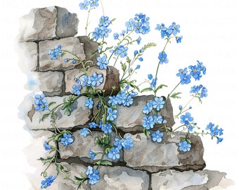 14 Forget Me Not on Stone Wall Clipart Bundle Printable Flower Clipart High Quality JPEG For Scrapbook Junk Journal Paper Craft Floral Wall