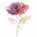 7 Gold Rose Clipart Watercolor Roses Printable High Quality JPEG for ...