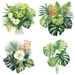 15 cliparts aquarelle feuille de Monstera Clipart botanique haute qualité JPEG cliparts aquarelle imprimables pour travaux manuels en papier bricolage journal indésirable