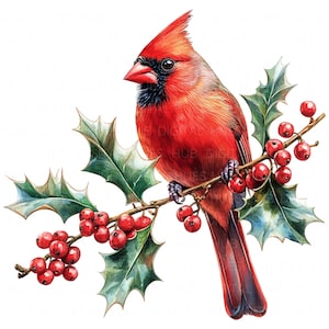 12 Red Cardinal Bird Clipart Watercolor Red Christmas Bird Holiday Printable High Quality JPEG Junk Journals Paper Crafts Scrapbook Tshirts