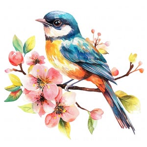15 Clipart di uccelli floreali Acquerello Arcobaleno Uccello Arte Uccello su un ramo Stampabile Alta qualità PNG Carta da giornale Carta artigianale Album di ritagli Carta per bambini