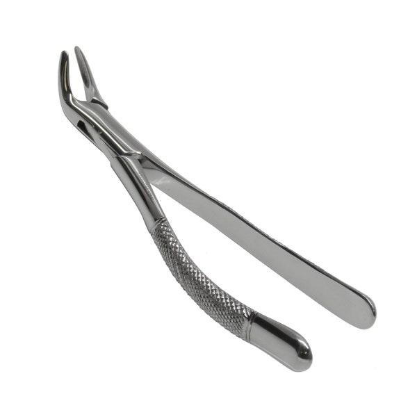Tooth Extracting Dental Forceps American Pattern Fig #151 Stainless Steel