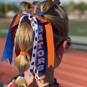May include: A young person's hairstyle featuring a series of ponytails and decorative ribbons. The ribbons are in blue, orange, white, and brown, with the word "GATORS" printed on one. The hair accessories are designed in team colors.