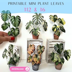 Miniature Paper Monstera Plant Leaves: DIY Dollhouse Printable (PDF Pattern 1/12 & 1/6 Scale)