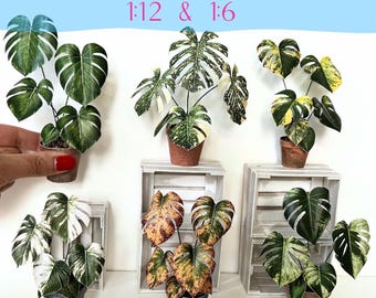 Miniature Papier Monstera Pflanzenblätter: DIY Dollhouse Printable (PDF Muster 1/12 & 1/6)