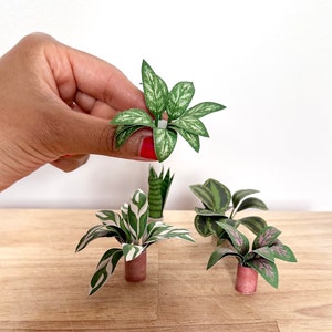 Dollhouse Printables 1:6 Miniatur Papierpflanzen und Töpfe (digitaler Download)