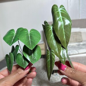 May include: Two sets of artificial green leaves, one set is larger and the other is smaller. The leaves are shaped like hearts.