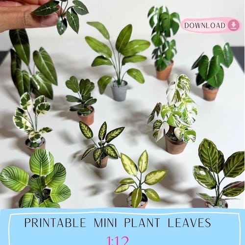 1:12 Printable Miniature Paper Plant leaves – DIY  Print Template