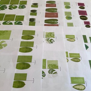 May include: A set of 10 white sheets of paper with green and white leaf illustrations. Each sheet has a leaf illustration with a rectangle next to it. The leaf illustration is divided by a line with an arrow pointing to the right. The rectangle is divided by a line with an arrow pointing to the left.