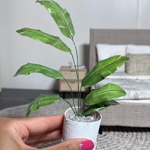 Dollhouse Printables 1:6 Miniature Paper Plants (digital download) image 6
