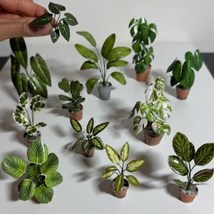 1:12 Miniatur Papierpflanzen – Druckbare DIY Vorlage