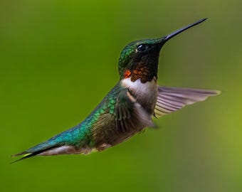 メキシコのビーズで飾られたハチドリのキーホルダー：職人のガラス