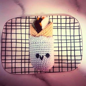 Crochet Burrito