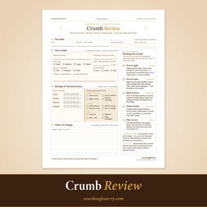 Pode incluir: Um papel branco intitulado "Crumb Review" com seções para detalhes de cozimento, características da migalha, classificações e o que mudar. O texto "Crumb Review" está em uma fonte grande no topo. O endereço do site sourdoughsavvy.com está na parte inferior.