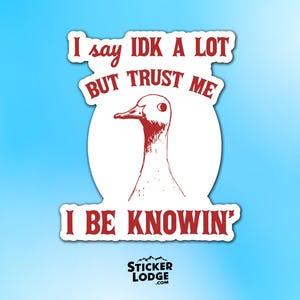 I Say IDK A Lot But Trust Me I Be Knowing Vinyl Sticker - Silly Goose Decal