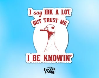 I Say IDK A Lot But Trust Me I Be Knowing Vinyl Sticker - Silly Goose Decal
