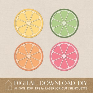 May include: Four digital cut files of citrus fruits: a yellow lemon, an orange orange, a green lime, and a pink grapefruit. Each fruit is sliced in half and shows the inside of the fruit with seeds.