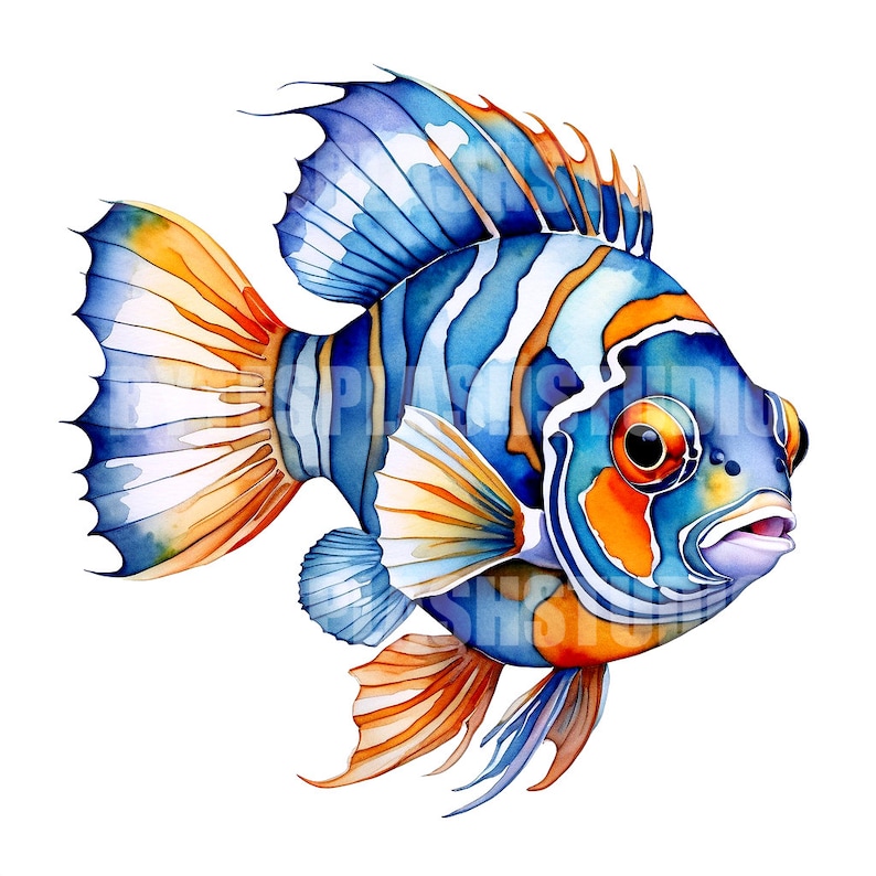 Colorful Fish Clip Art Bundle 10 High-quality PNG Watercolor Style ...