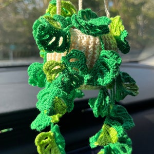 May include: A crocheted hanging plant with green and white leaves. The plant is in a white crocheted pot and is hanging from a string.