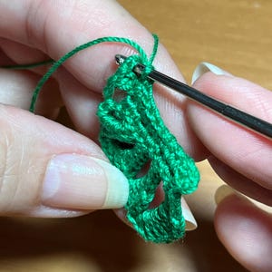 PATTERN: Micro-Crochet Monstera Variegata image 7