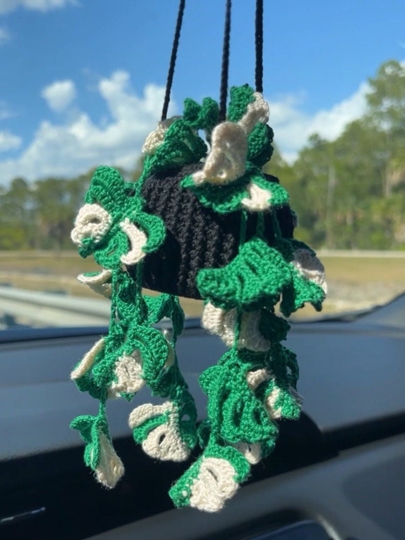May include: A crocheted hanging plant with green and white leaves. The plant is hanging from a black string and is in a black pot.