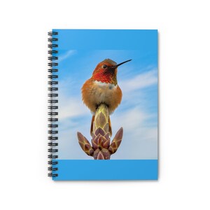 Rufous Hummingbird Spiral Notebook - Ruled Line