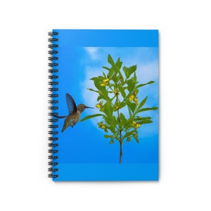 Anna&#39;s Hummingbird Spiral Notebook - Ruled Line
