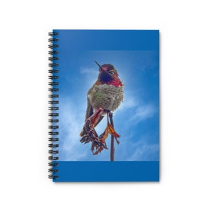 Hummingbird Spiral Notebook - Ruled Line