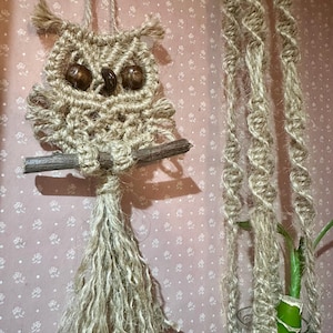 May include: A brown owl macrame wall hanging with a wooden branch and a long tassel. The owl has brown eyes and is made of natural twine.