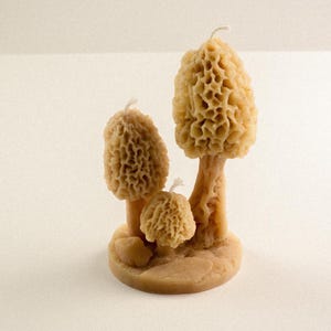 Morel Mushroom Beeswax Candle Cluster