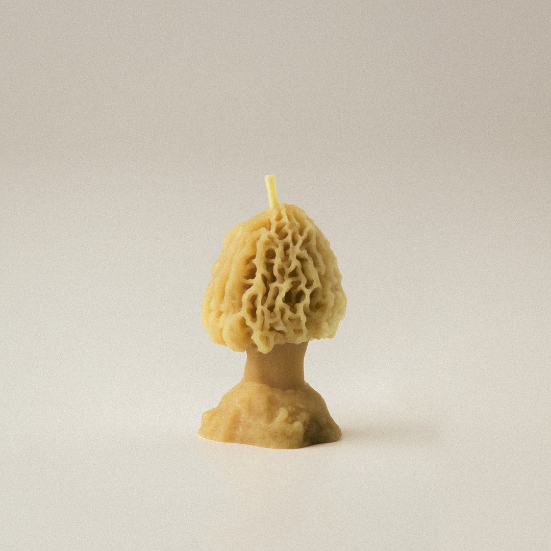 Small Real Morel Mushroom Beeswax Candle Etsy