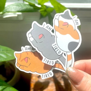 Sticker chat Je suis fatigué, minou endormi, étiquette autocollante en vinyle, autocollant drôle, chat calicot, chat gris, chat orange engird