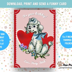 Lustiger Hund Geburtstag Printable | DIGITALER DOWNLOAD | Hund Geburtstagskarte | Freche Haustier Karte Printable | Hund Glückwunschkarte | Download Karte