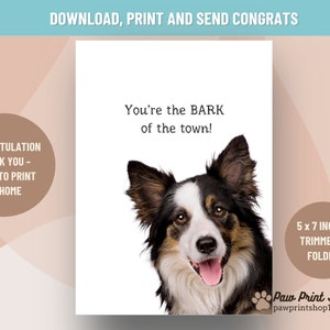 Félicitations amusantes à imprimer | TÉLÉCHARGEMENT NUMÉRIQUE | de félicitations de chien de Zazzle.be Liste d'envies Vous avez des idées ? Carte imprimable pour animal de compagnie impertinente | Téléchargez la carte de félicitations