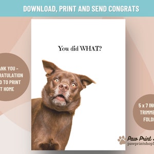 Lustige Glückwünsche Printable | DIGITALER DOWNLOAD | Hund Glückwunschkarte | Freche Haustier Karte | Download Glückwunschkarte