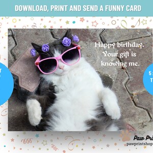 Funny Cat Birthday Printable | DIGITAL DOWNLOAD | Cat Birthday Card | Sassy Pet Card Printable | Cat Congratulations Card | Download Card