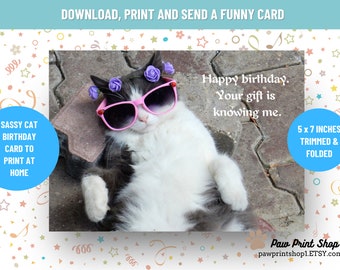 Cumpleaños de gato divertido imprimible / DESCARGA DIGITAL / Tarjeta de cumpleaños de gato / Tarjeta de mascota atrevida imprimible / Tarjeta de felicitación de gato / Tarjeta de descarga