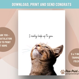 Divertenti congratulazioni stampabili / DOWNLOAD DIGITALE / Biglietto di congratulazioni gatto / Grazie stampabile / Biglietto di congratulazioni gatto / Biglietto gatto