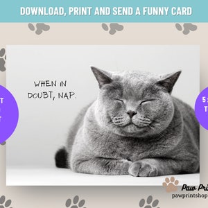 Funny Cat Printable | DIGITAL DOWNLOAD | Cat Greeting Card | Sassy Pet Card Printable | Sassy Cat Card | Printable Cat Card | Catty Kitties
