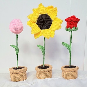 flores