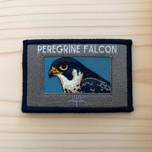 May include: Embroidered patch featuring a peregrine falcon. The patch has a gray background with a blue square in the center, displaying the falcon's head. The text "PEREGRINE FALCON" is embroidered above the bird.