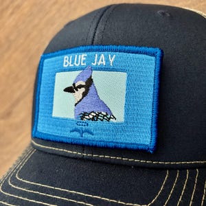 May include: Navy blue baseball cap with a stitched patch featuring a blue jay bird and the text "BLUE JAY" in white. The cap has a curved brim and a tan-colored interior.