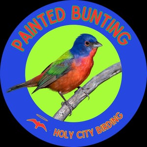 Painted Bunting BIRD Sticker